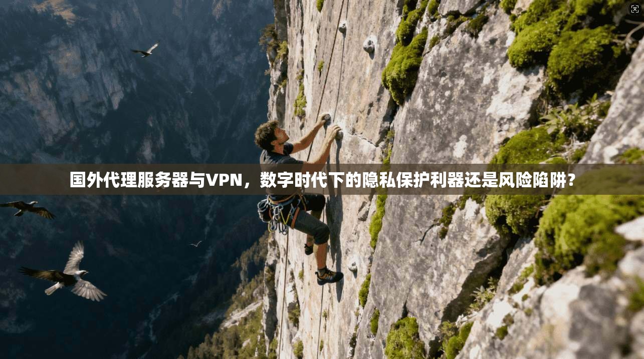 国外代理服务器与VPN，数字时代下的隐私保护利器还是风险陷阱？