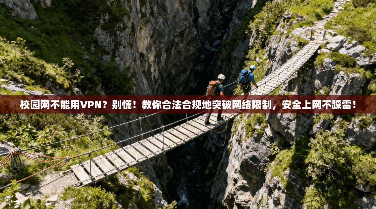 校园网不能用VPN？别慌！教你合法合规地突破网络限制，安全上网不踩雷！