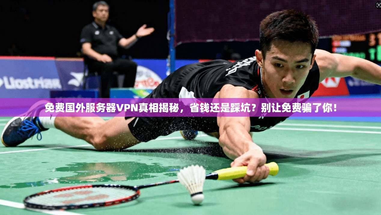 免费国外服务器VPN真相揭秘,省钱还是踩坑?别让免费骗了你!
