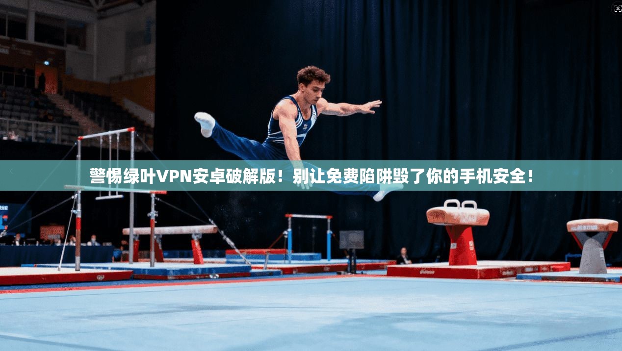 警惕绿叶VPN安卓破解版！别让免费陷阱毁了你的手机安全！