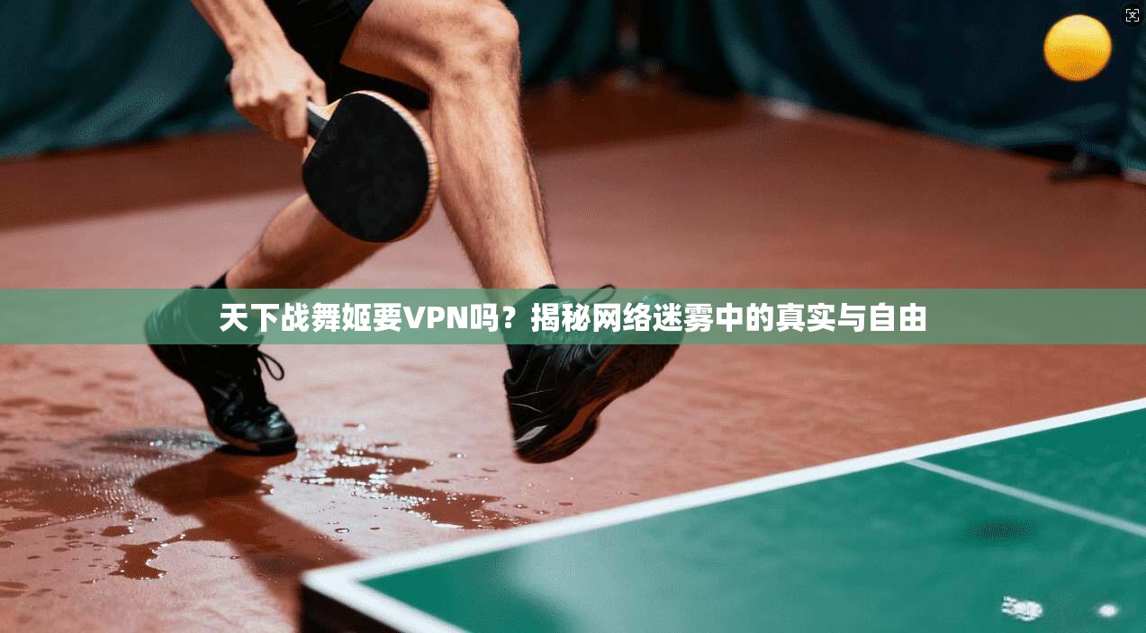 天下战舞姬要VPN吗？揭秘网络迷雾中的真实与自由