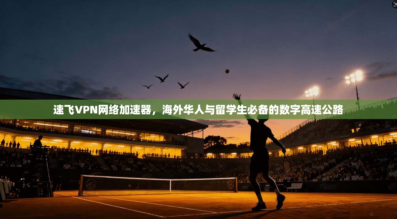 速飞VPN网络加速器，海外华人与留学生必备的数字高速公路