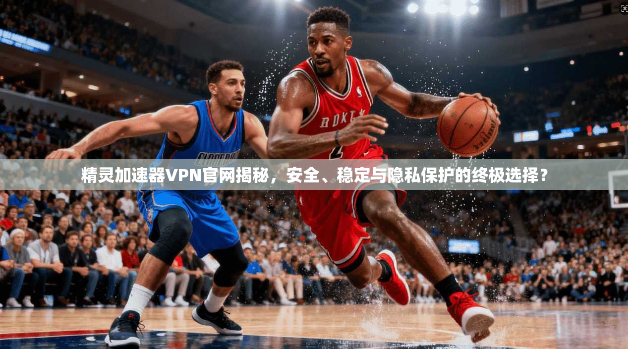 精灵加速器VPN官网揭秘，安全、稳定与隐私保护的终极选择？