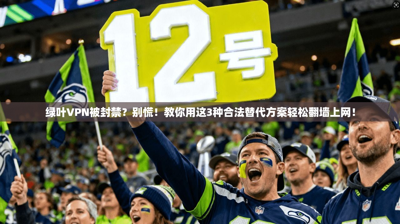 绿叶VPN被封禁?别慌!教你用这3种合法替代方案轻松翻墙上网!