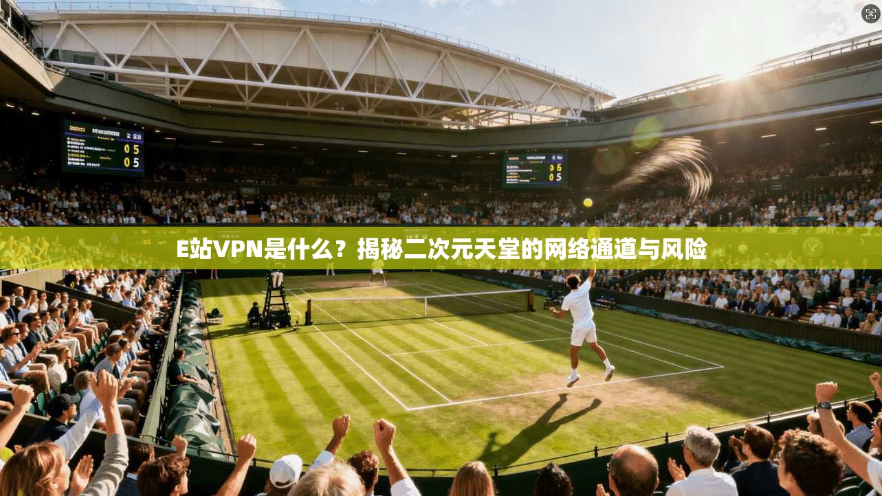 E站VPN是什么?揭秘二次元天堂的网络通道与风险