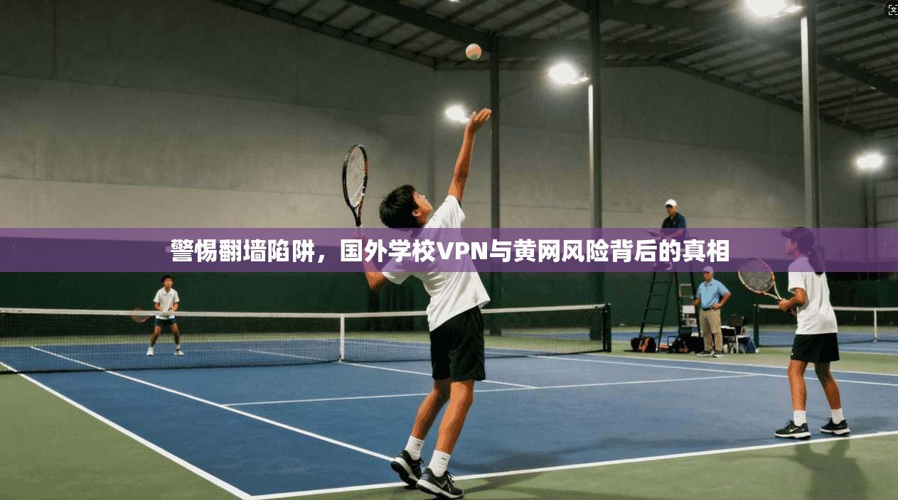 警惕翻墙陷阱,国外学校VPN与黄网风险背后的真相