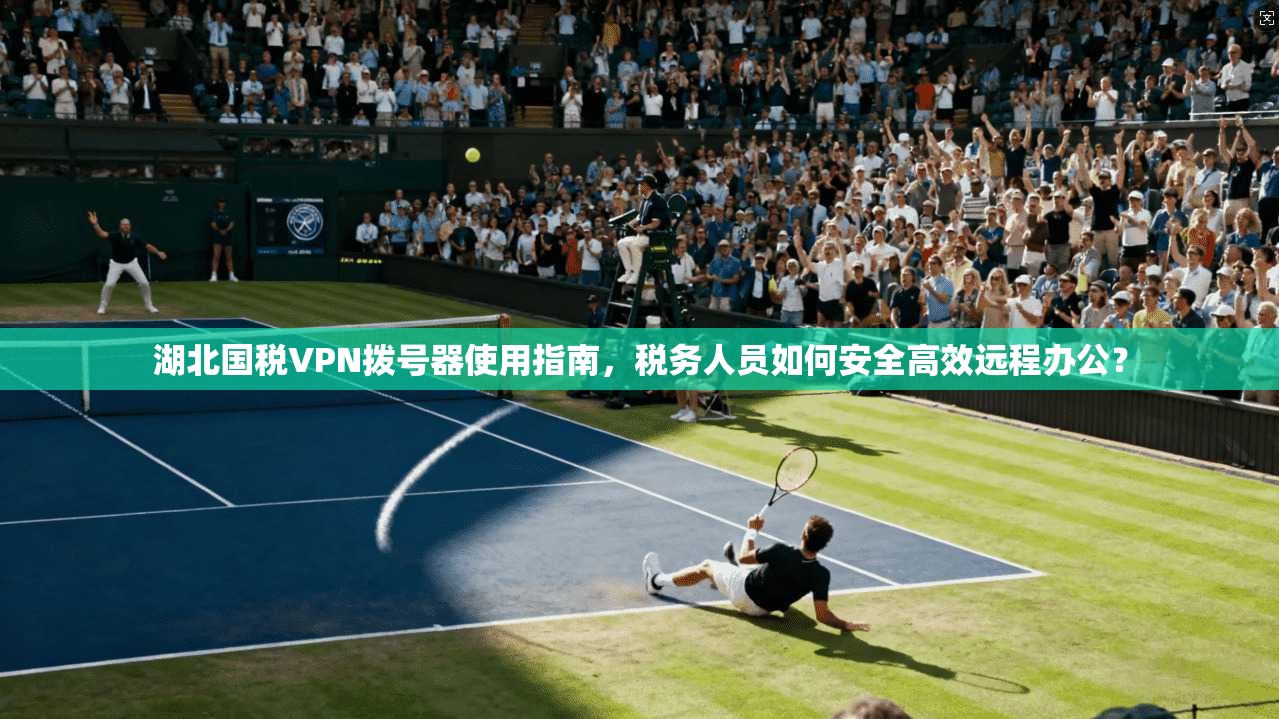 湖北国税VPN拨号器使用指南，税务人员如何安全高效远程办公？