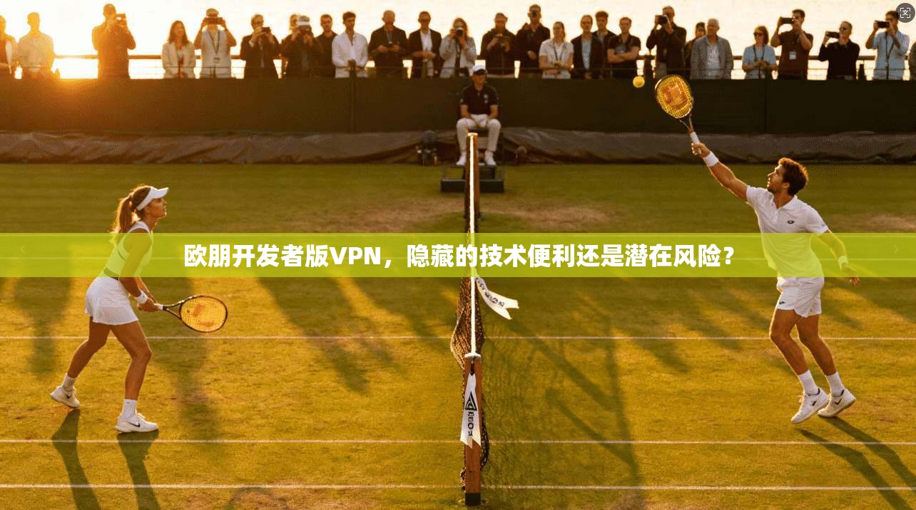 欧朋开发者版VPN，隐藏的技术便利还是潜在风险？