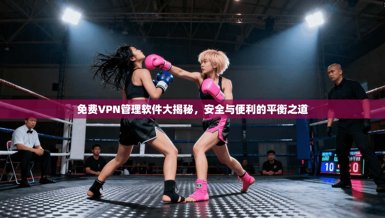 免费VPN管理软件大揭秘,安全与便利的平衡之道