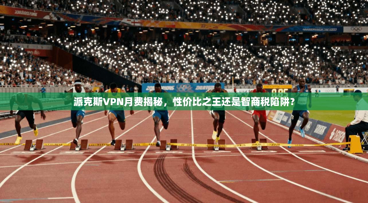 派克斯VPN月费揭秘,性价比之王还是智商税陷阱?