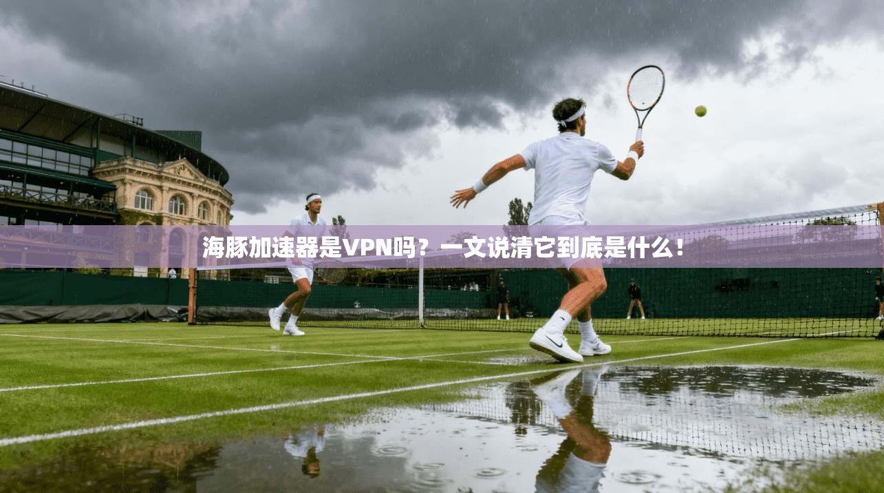 海豚加速器是VPN吗?一文说清它到底是什么!