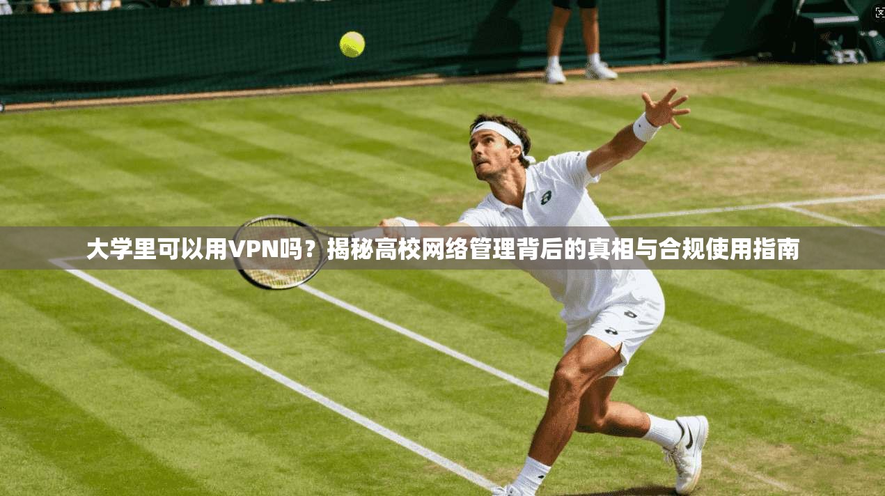 大学里可以用VPN吗？揭秘高校网络管理背后的真相与合规使用指南