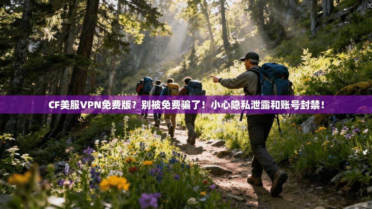 CF美服VPN免费版?别被免费骗了!小心隐私泄露和账号封禁!