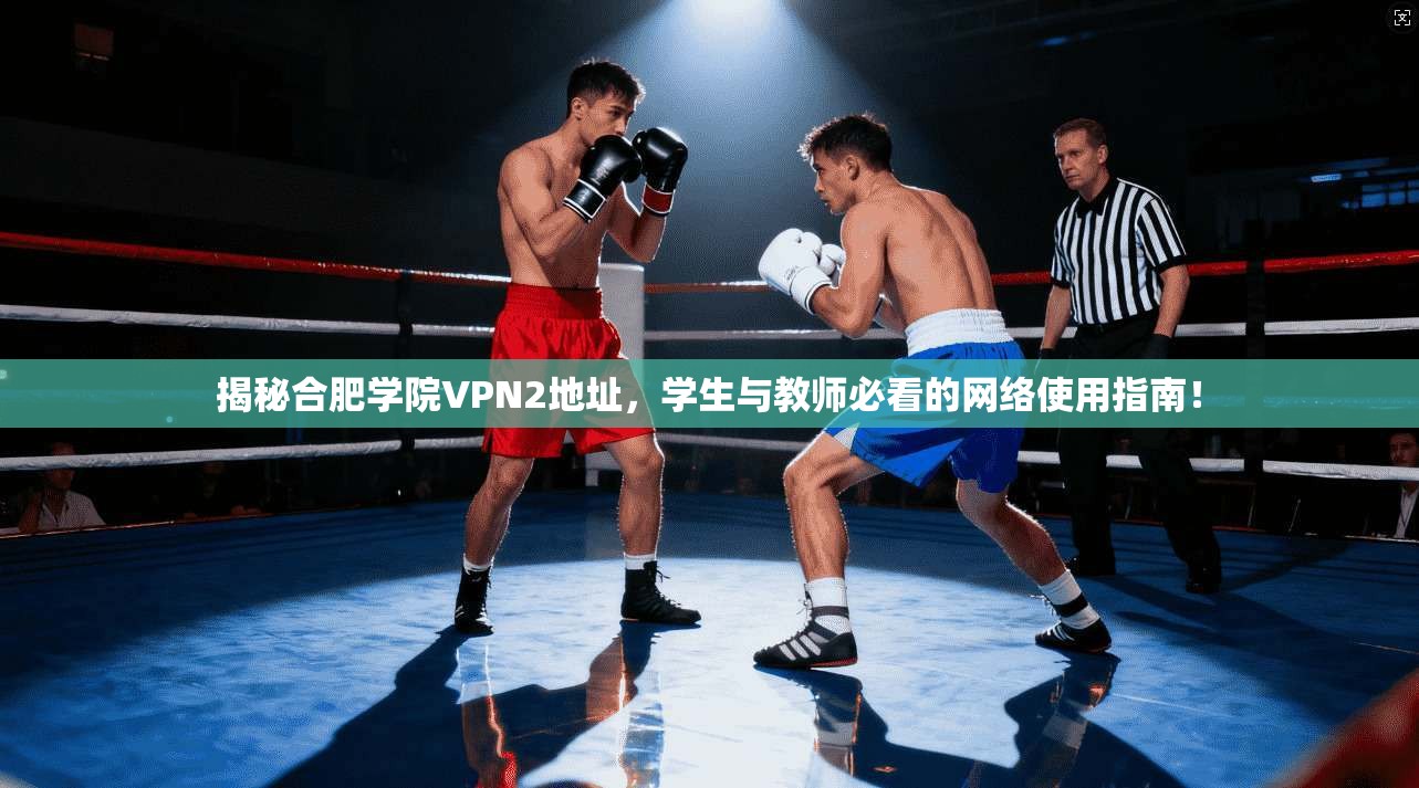 揭秘合肥学院VPN2地址，学生与教师必看的网络使用指南！