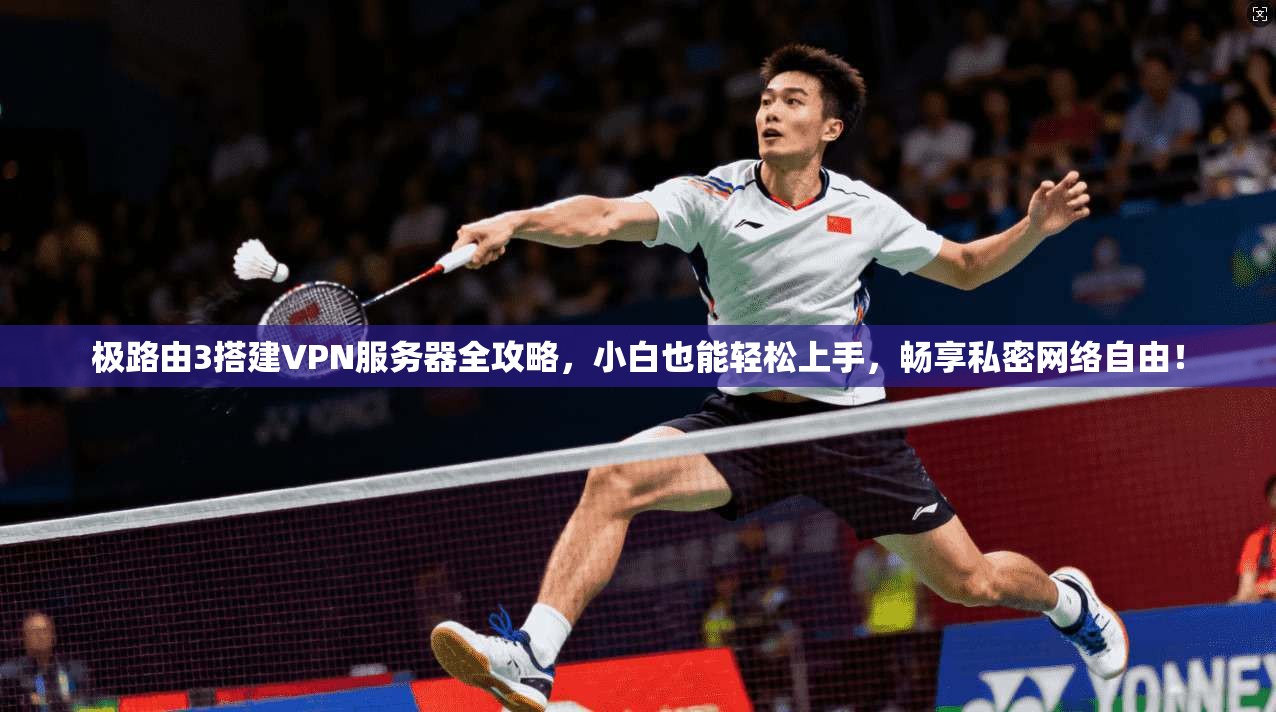 极路由3搭建VPN服务器全攻略,小白也能轻松上手,畅享私密网络自由!