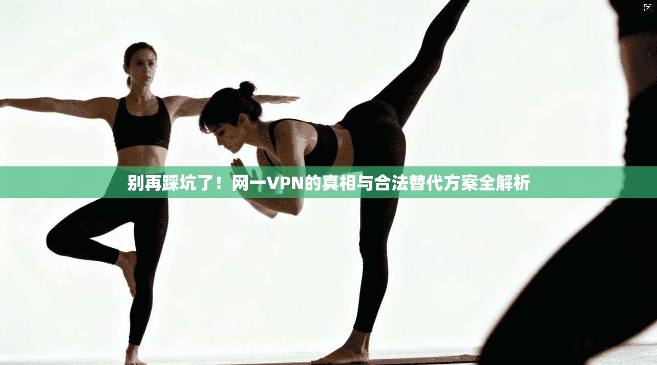 别再踩坑了!网一VPN的真相与合法替代方案全解析