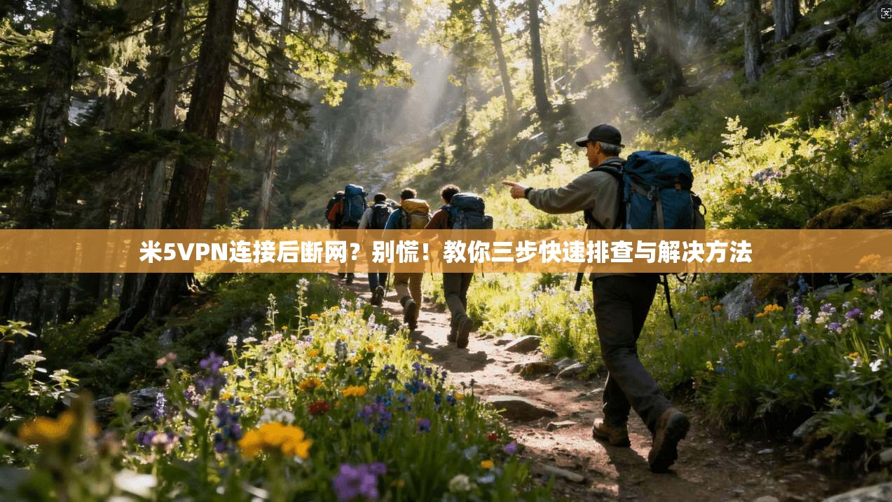 米5VPN连接后断网?别慌!教你三步快速排查与解决方法