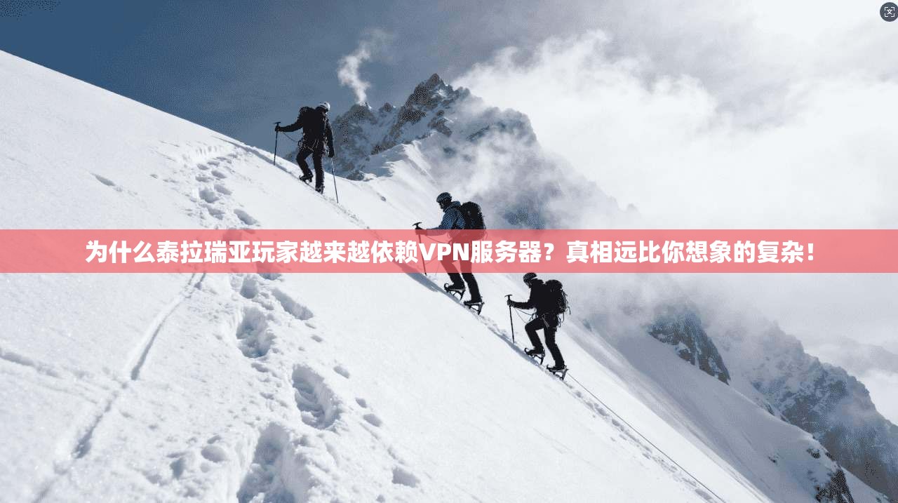 为什么泰拉瑞亚玩家越来越依赖VPN服务器？真相远比你想象的复杂！