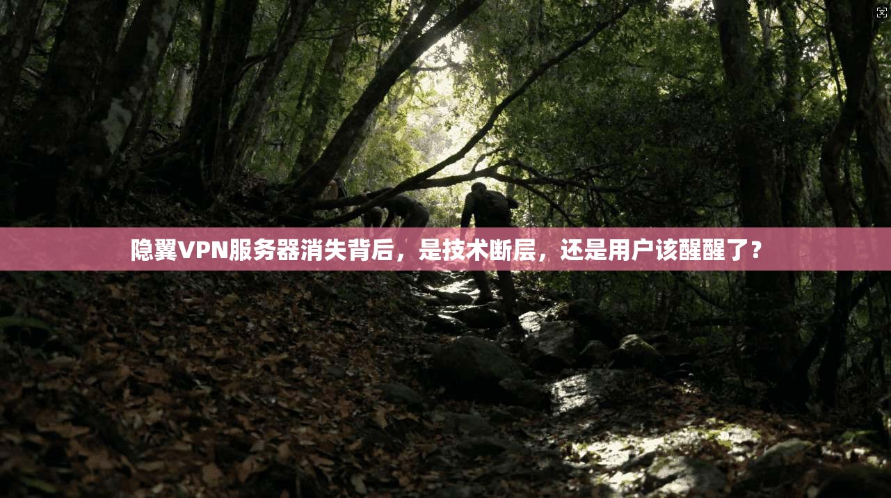 隐翼VPN服务器消失背后，是技术断层，还是用户该醒醒了？
