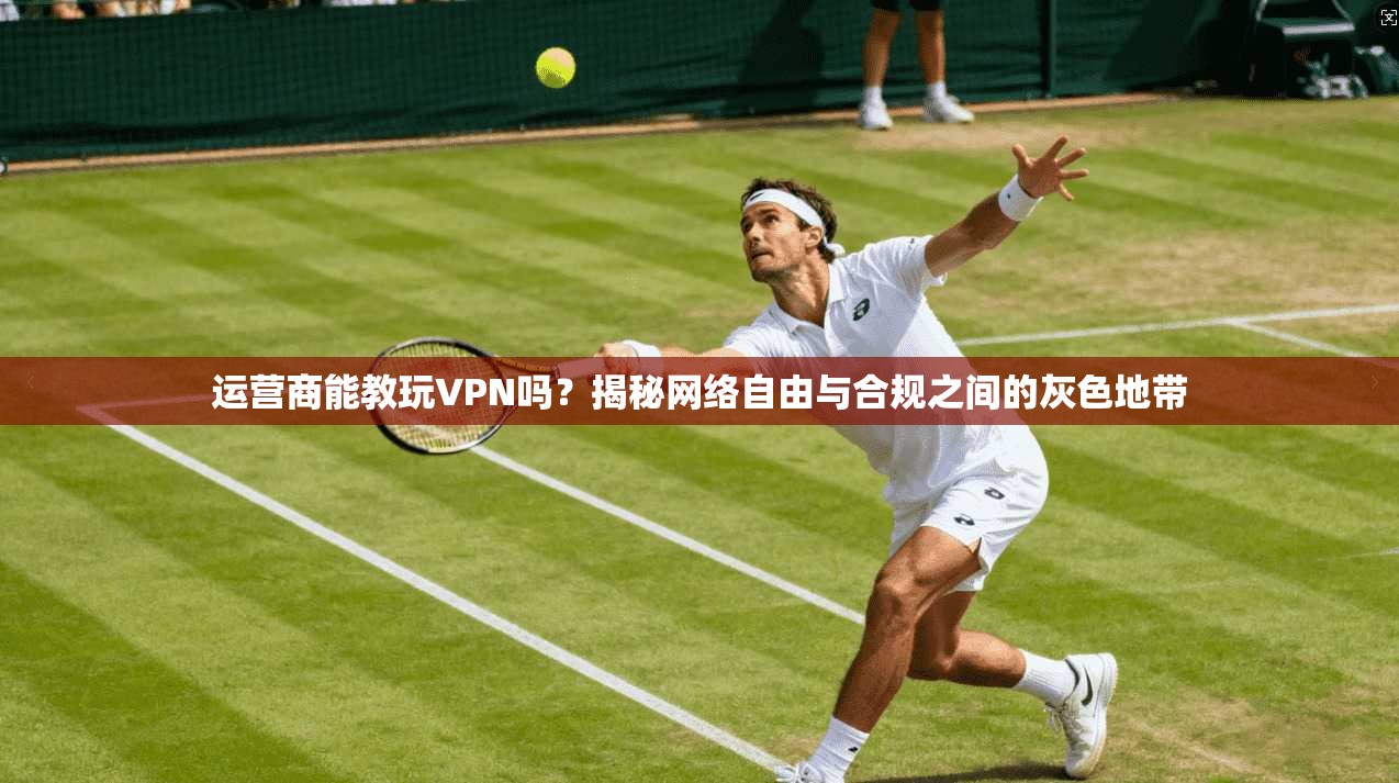 运营商能教玩VPN吗？揭秘网络自由与合规之间的灰色地带