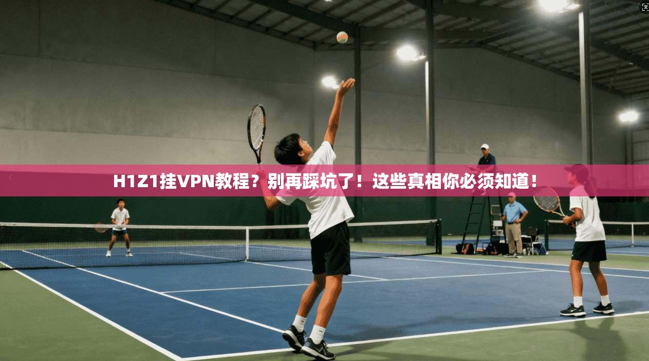 H1Z1挂VPN教程？别再踩坑了！这些真相你必须知道！