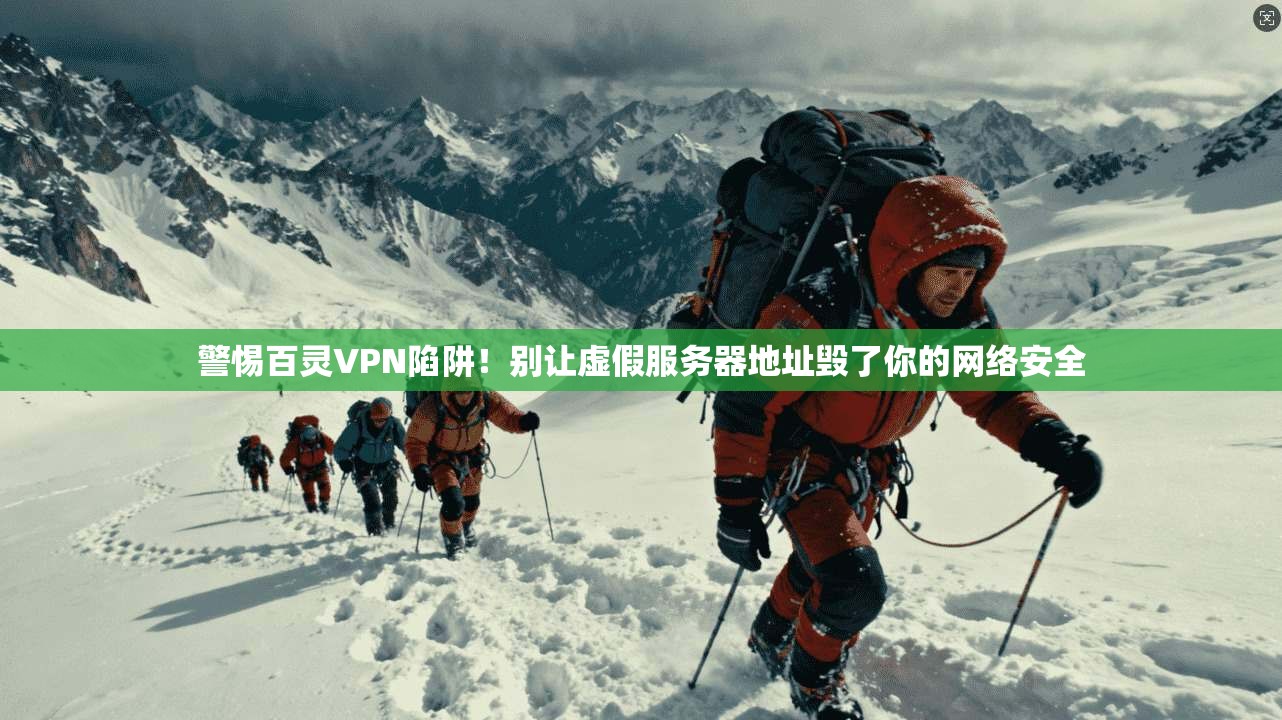 警惕百灵VPN陷阱!别让虚假服务器地址毁了你的网络安全