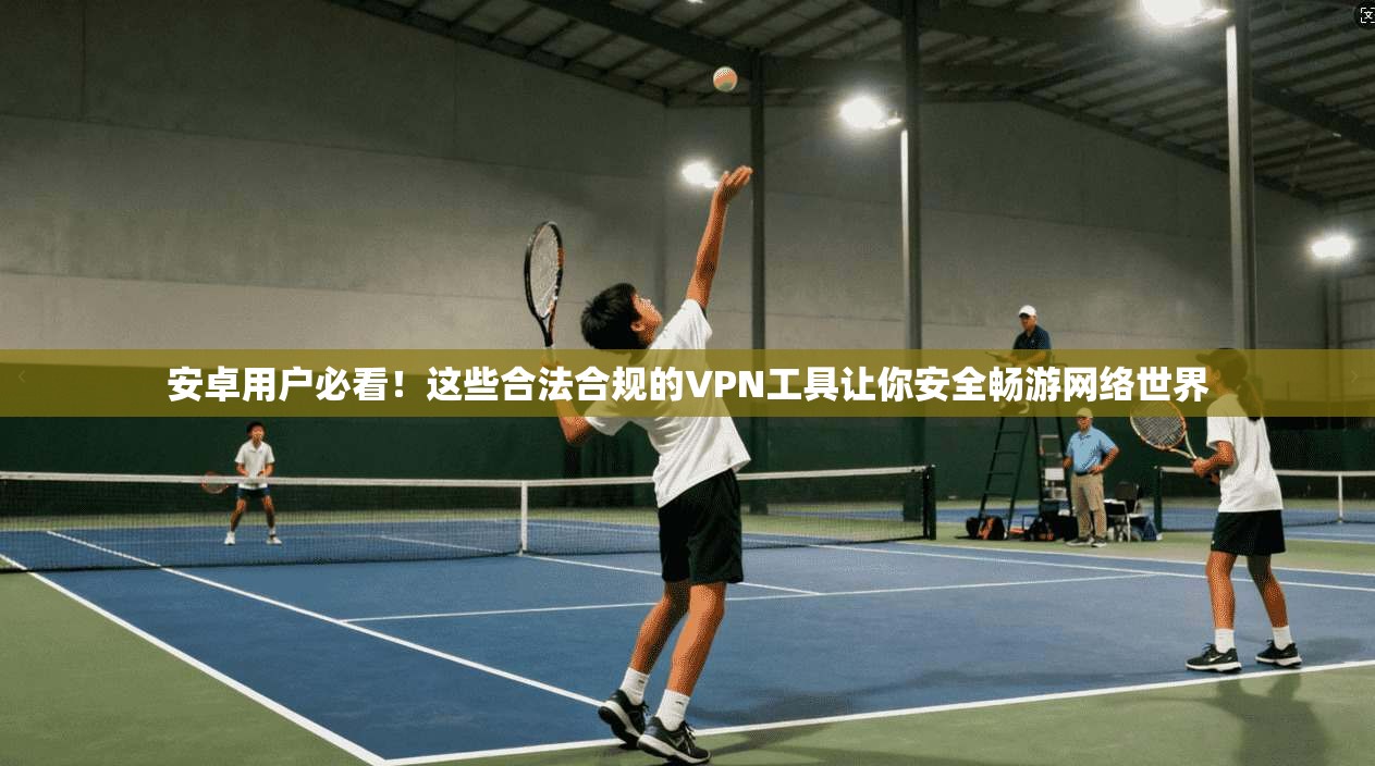 安卓用户必看!这些合法合规的VPN工具让你安全畅游网络世界