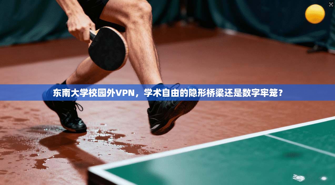 东南大学校园外VPN,学术自由的隐形桥梁还是数字牢笼?