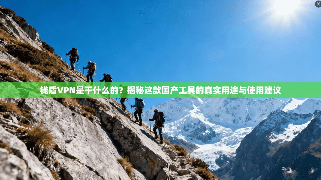 钱盾VPN是干什么的?揭秘这款国产工具的真实用途与使用建议