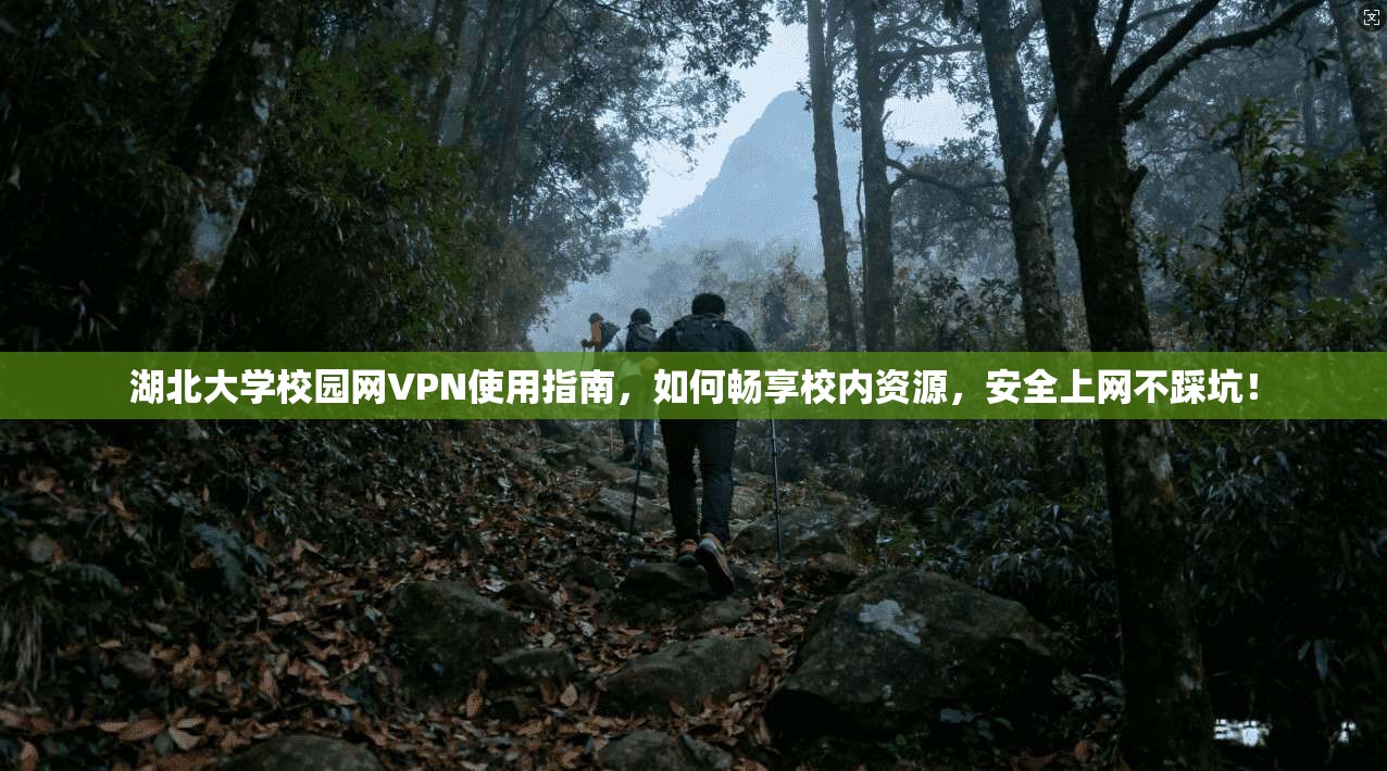 湖北大学校园网VPN使用指南,如何畅享校内资源,安全上网不踩坑!