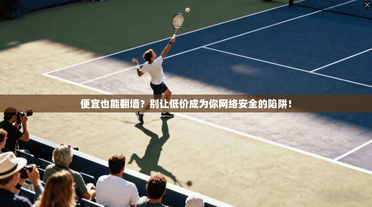 便宜也能翻墙?别让低价成为你网络安全的陷阱!