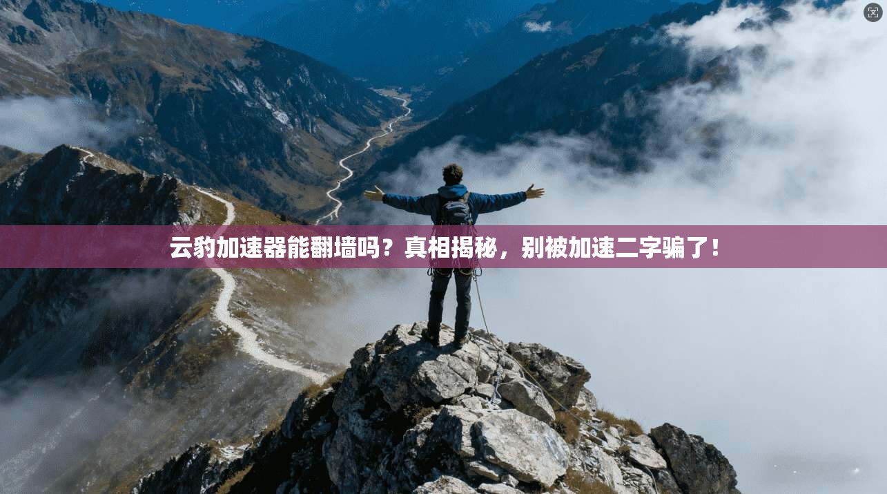 云豹加速器能翻墙吗？真相揭秘，别被加速二字骗了！