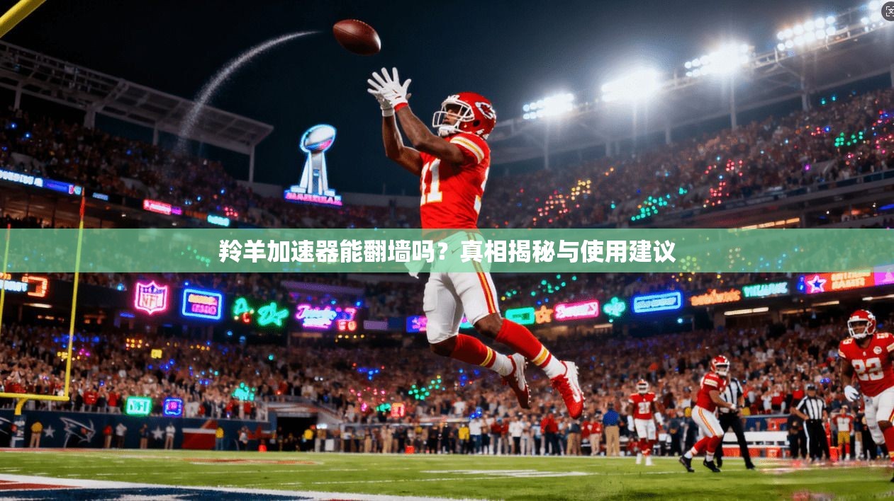 羚羊加速器能翻墙吗？真相揭秘与使用建议