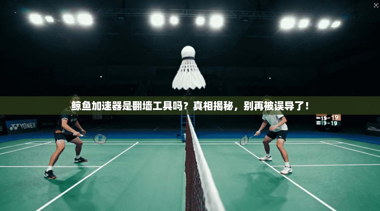 鲸鱼加速器是翻墙工具吗？真相揭秘，别再被误导了！