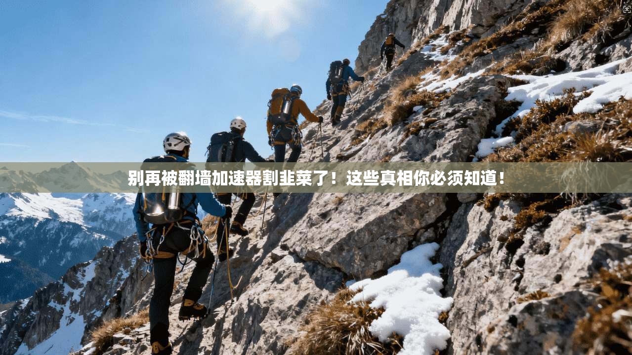 别再被翻墙加速器割韭菜了！这些真相你必须知道！