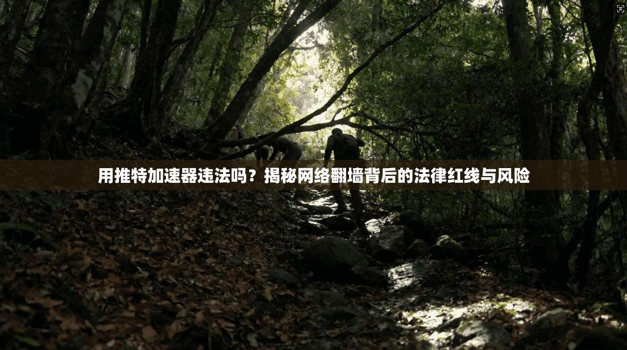 用推特加速器违法吗?揭秘网络翻墙背后的法律红线与风险
