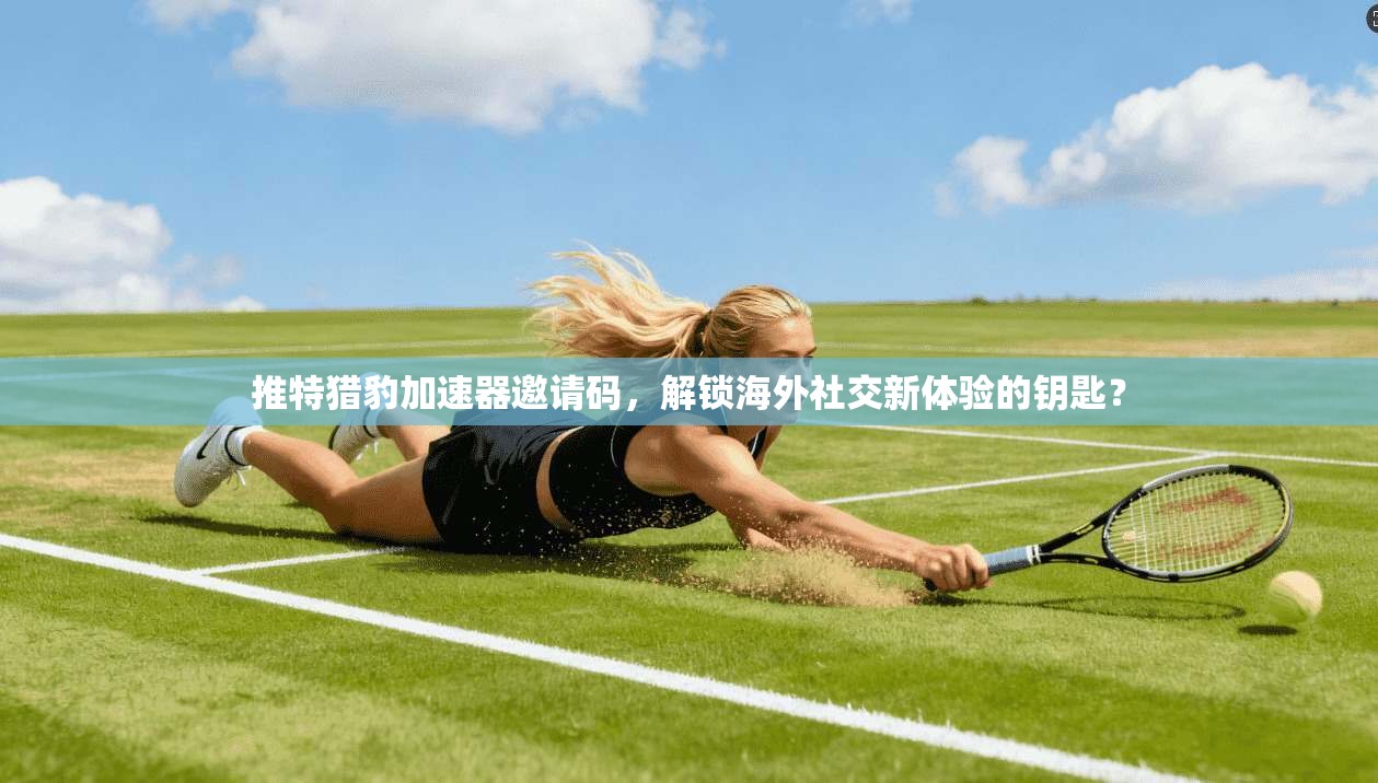 推特猎豹加速器邀请码，解锁海外社交新体验的钥匙？