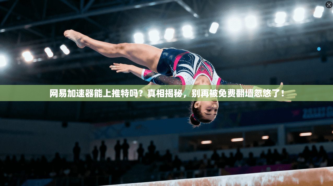 网易加速器能上推特吗？真相揭秘，别再被免费翻墙忽悠了！
